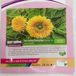 Gói 30 hạt hướng dương nga kép lùn 2