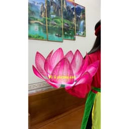 FREESIP  siu phẩm hoa sen múa văn nghệ phun kim tuyến bằng nan sắt cực bền size to 4