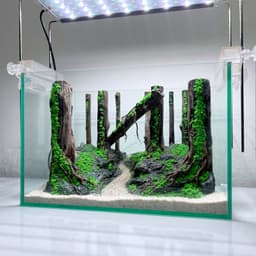 Layout Thuỷ Sinh Phong Cách Rừng Ver.9 | Điểm Nhấn Nghệ Thuật Chế Tác Gỗ Lũa Thủ Công | RF Aquarium 9