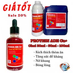 PROTEIN ADE - Nuôi gà tơ, nở khung, lên cân, bóng lông 1