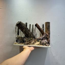 Layout Rừng Ver.6 | Layout Thuỷ Sinh Chế Tác Thủ Công | Nhiều Kích Thước Cho Bể Thuỷ Sinh | RF Aquarium 3