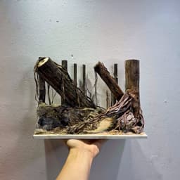 Layout Rừng Ver.6 | Layout Thuỷ Sinh Chế Tác Thủ Công | Nhiều Kích Thước Cho Bể Thuỷ Sinh | RF Aquarium 5