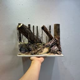 Layout Rừng Ver.6 | Layout Thuỷ Sinh Chế Tác Thủ Công | Nhiều Kích Thước Cho Bể Thuỷ Sinh | RF Aquarium 6