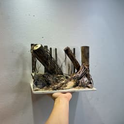 Layout Rừng Ver.6 | Layout Thuỷ Sinh Chế Tác Thủ Công | Nhiều Kích Thước Cho Bể Thuỷ Sinh | RF Aquarium 2