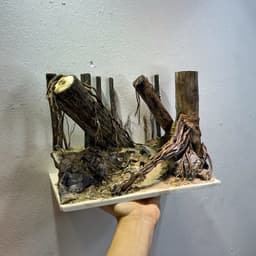 Layout Rừng Ver.6 | Layout Thuỷ Sinh Chế Tác Thủ Công | Nhiều Kích Thước Cho Bể Thuỷ Sinh | RF Aquarium 4