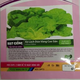 Gói 10g hạt giống xà lách Dún Vàng cao sản 2
