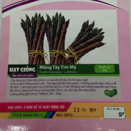 Gói 20 hạt giống măng tây tím California 2