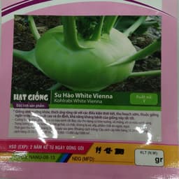 Gói 5g hạt giống su hào 2