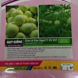 Gói 0.5g hạt giống dưa lê siêu ngọt F1 2