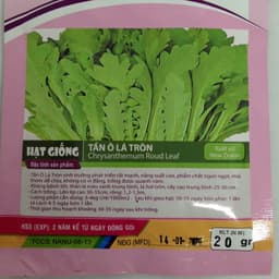 Gói 20g hạt giống tần ô Garland lá tròn 2