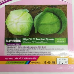 Gói 1g hạt giống bắp cải F1 Tropica Queen 2