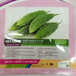 Gói 1g hạt giống khổ qua F1 - trái lớn xanh đậm 2