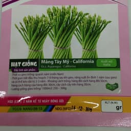 Gói 50 hạt giống măng tây California Mỹ - US.S. ASPARAGUS 2