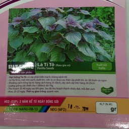 Gói 1g hạt giống tía tô 2