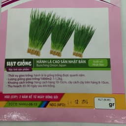 Gói 1g hạt giống hành lá gốc trắng 2