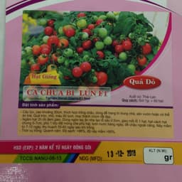 Gói 0.1g cà chua bi đỏ lùn trồng chậu 2