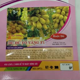 Gói 5 hạt giống đu đủ vỏ vàng F1 Thái Lan 2