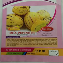 Gói 5 hạt giống dưa Pepino F1 2