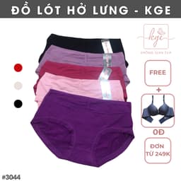 Quần Lót Nữ, Quần Chip Nữ Cotton Co Giãn Thoáng Khí Bigsize Dành Cho Người Có Vòng Mông 93-98cm 3044 2