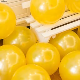 10 Bóng nhũ trang trí sinh nhật 5
