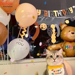 Set 2 dây Happy Birthday dạ nâu Babuu Decor 4