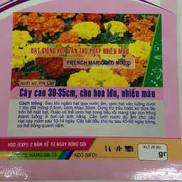 Hạt Giống Hoa Vạn Thọ Pháp Nhiều Màu 2