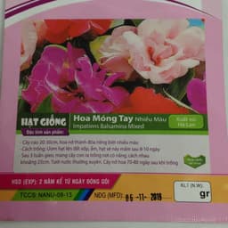 Hạt Giống Hoa Móng Tay Nhiều Màu 2