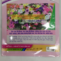 Hạt giống Hoa Dạ Yên Thảo Nhiều Màu 2