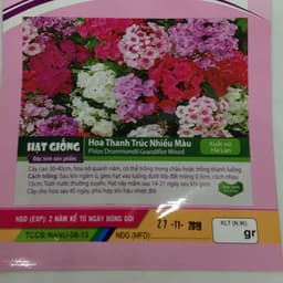 Hạt giống Hoa Thanh Trúc Nhiều Màu 2