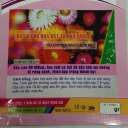Gói 100 Hạt giống Hoa Bất Tử Nhiều Màu 2