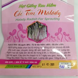 Hạt giống mầm cải tím Malady -100gr_ Thế Giới Rau Mầm _thegioiraumam 2