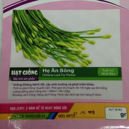 Gói 1g hạt giống hẹ ăn bông 2
