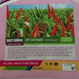 Gói 0.1g hạt giống ớt chỉ thiên siêu cay F1 2