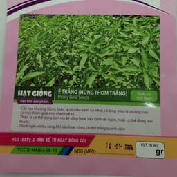 Gói 5g hạt giống rau húng thơm trắng - é trắng 2