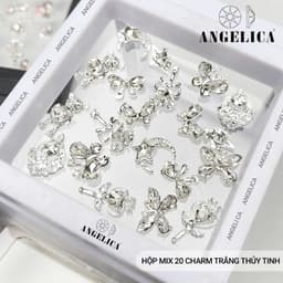 Sét Charm Đá Siêu Sáng 20 Viên Đựng Trong Hộp Hót 1