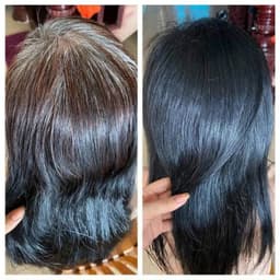 Chai Dầu Gội Phủ Bạc Tori Với Hương Hoa Thơm Dễ Chịu An toàn Hàng Chính Hãng Công Ty 4