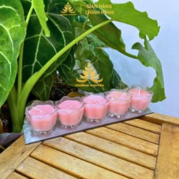 Vỉ 5 Ly Nến Bơ Hoa Mai Ngũ Sắc, Nến Bơ Dâng Phật Cúng Mụ, Cúng Thần Tài Cúng Dường An Toàn Không Khói 9