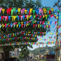 Cờ Dây Tam Giác Dây Trang Trí Cờ Đuôi Nheo 30 Lá Làm Bằng Vải Đẹp Trang Trí Tết, Lễ Hội, Ngoài Trời 7