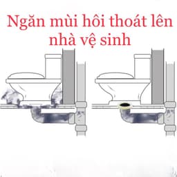 Ron Cao Su Chống Hôi, Gioăng Chống Hôi Bồn Cầu 3
