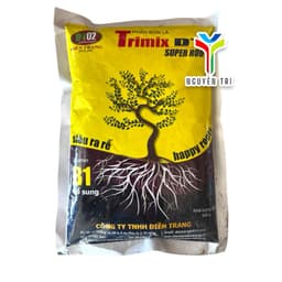 Kích rễ B1 super root điền trang dt02. 4
