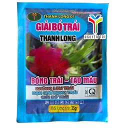 Giải bó trái thanh long 25gr 1