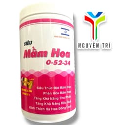 Chuyên tạo mầm hoa, to nụ (búp), Chống rụng hoa gãy cuốn hoa. Hũ nhựa 1kg có seal 1
