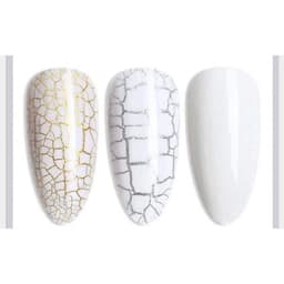 Sơn Nứt Đen Trắng , Sơn Gel Nứt verygood 3