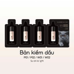 Sample gói kem nền Carslan mini kiềm dầu, cấp ẩm cho lớp nền mịn lỳ lâu trôi DOLLY COSMETICS 2