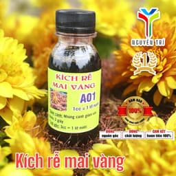 Kích rễ Mai Vàng A01 Thuốc Kích Rễ Mạnh 100ml Cho Cây Mai Vàng 6