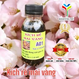 Kích rễ Mai Vàng A01 Thuốc Kích Rễ Mạnh 100ml Cho Cây Mai Vàng 7