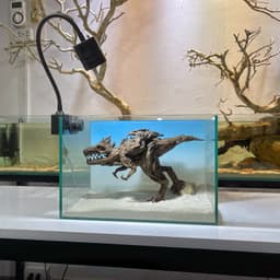 Limited I Layout Thuỷ Sinh Khủng Long Layout Dùng Trang Trí Bể Cá Thuỷ Sinh 30-40cm | RF Aquarium 6