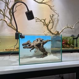 Limited I Layout Thuỷ Sinh Khủng Long Layout Dùng Trang Trí Bể Cá Thuỷ Sinh 30-40cm | RF Aquarium 7