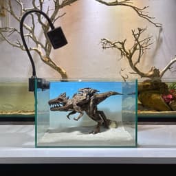 Limited I Layout Thuỷ Sinh Khủng Long Layout Dùng Trang Trí Bể Cá Thuỷ Sinh 30-40cm | RF Aquarium 5