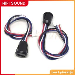 Jack nguồn cổng sạc Type-C kèm bịt chống nước, Type-C 4P có tai 1